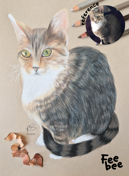 A4 Coloured Pencil Pet Portrait