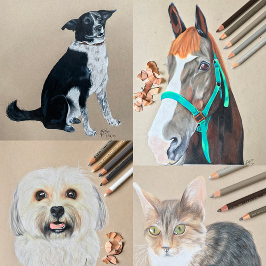 A4 Coloured Pencil Pet Portrait